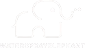 WaterSprayElephant